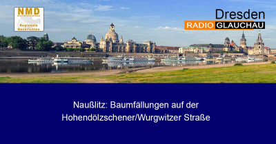 Dresden - Naußlitz: Baumfällungen auf der Hohendölzschener/Wurgwitzer Straße