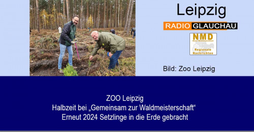 Zoo Leipzig - Neues Koala-Weibchen für Leipzig - Erlinga aus dem Zoo Duisburg angekommen