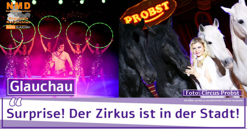 «SURPRISE» Die neue Show 2024