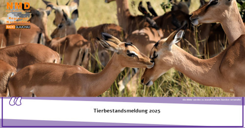 Tierparks & Zoo - Tierbestandsmeldung 2025