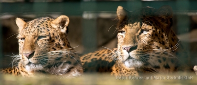 Der Tierpark Gera