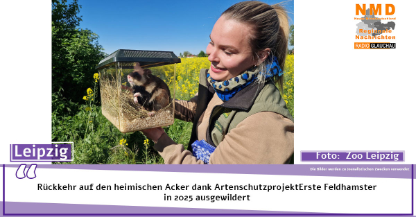 Zoo Leipzig - Rückkehr auf den heimischen Acker dank ArtenschutzprojektErste Feldhamster in 2025 ausgewildert