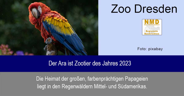 Zoo Dresden - Der Ara ist Zootier des Jahres 2023