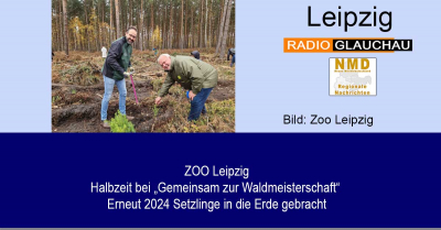 Zoo Leipzig - Halbzeit bei „Gemeinsam zur Waldmeisterschaft“ Erneut 2024 Setzlinge in die Erde gebracht
