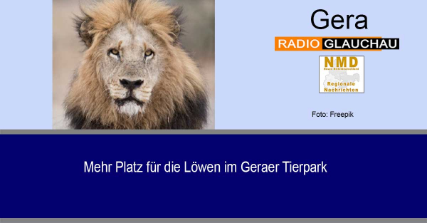 Gera - Mehr Platz für die Löwen im Geraer Tierpark