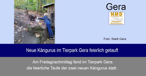 Geraer Tierpark - Neue Kängurus im Tierpark Gera feierlich getauft