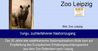 Zoo Leipzig - Vungu: zuchterfahrener Nashornzugang