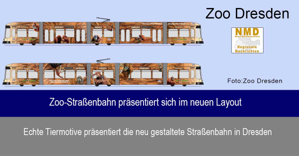 Zoo Dresden - Zoo-Straßenbahn präsentiert sich im neuen Layout