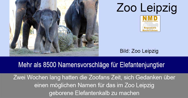 Zoo Leipzig - Mehr als 8500 Namensvorschläge für Elefantenjungtier
