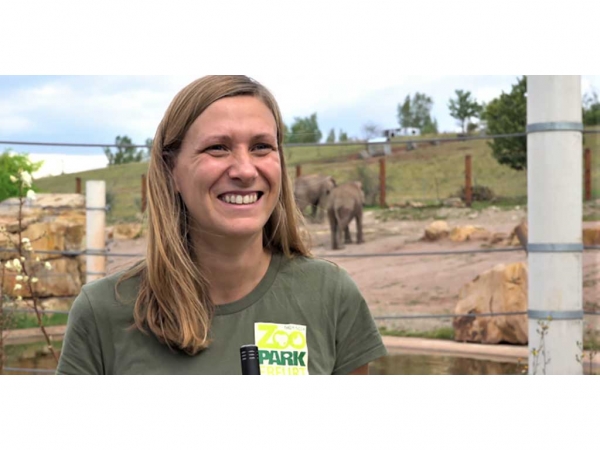  Zootierärztin Tina Risch sieht der bevorstehenden Elefantengeburt entgegen.n, da das Geschlecht nocht nicht bestimmt werden konnte.