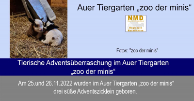 „zoo der minis“ - Tierische Adventsüberraschung im Auer Tiergarten „zoo der minis“