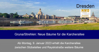 Dresden - Gruna/Strehlen: Neue Bäume für die Karcherallee