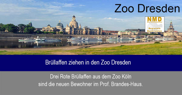 Zoo Dresden - Brüllaffen ziehen in den Zoo Dresden