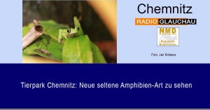 Tierpark Chemnitz - Tierpark Chemnitz: Neue seltene Amphibien-Art zu sehen
