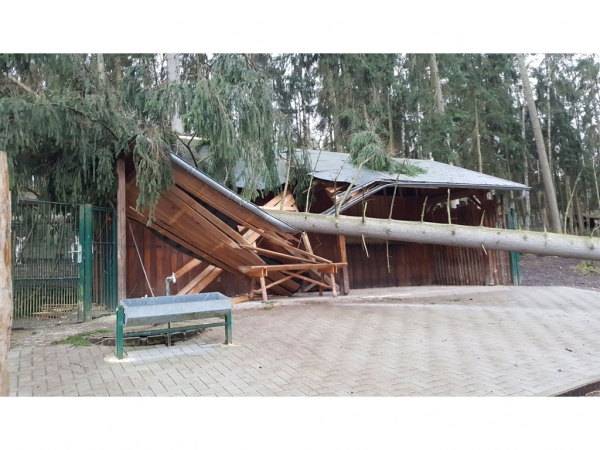 Ausschließlich Fichten zerstörten mehrere Anlagen im Geraer Tierpark.
