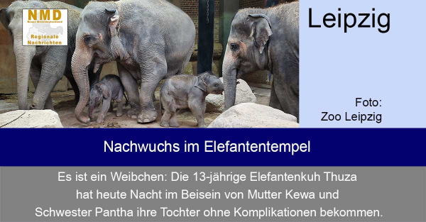 Zoo Leipzig - Nachwuchs im Elefantentempel