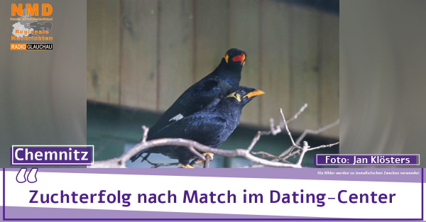 Chemnitz - Zuchterfolg nach Match im Dating-Center