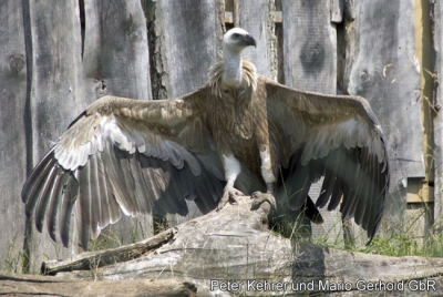 Der ZOO Park Erfurt