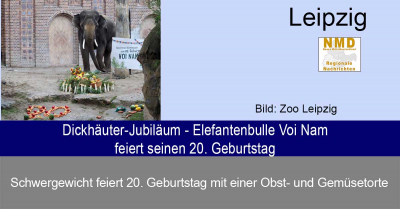 Zoo Leipzig - Dickhäuter-Jubiläum - Elefantenbulle Voi Nam feiert seinen 20. Geburtstag